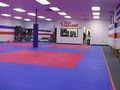 Viet Le's World Karate & Mixed Martial Arts Gym image 2