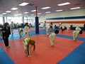 Viet Le's World Karate & Mixed Martial Arts Gym image 8