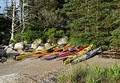 Water Walker Sea Kayak, LLC image 7