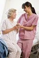 A-1 Caregiver Agency / A-1 Nannies image 9