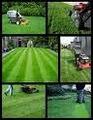 A/B Property Management Lawncare, Cabin, and Landscaping image 2