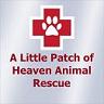 A Little Patch of Heaven Animal Rescue logo