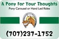 A Pony For Your Thoughts logo