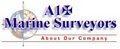 A1+ Marine Surveyors & Consultants image 2
