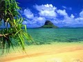 ALOHA TROY'S HAWAIIAN VACATIONS Hawaii Travel image 2