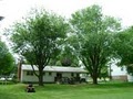 AWS Tree Service Inc. image 2