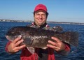 Adventure Rhode Island Fishing Charters image 2