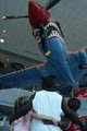 Air Zoo image 3