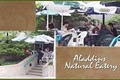 Aladdins Natural Eatery image 1