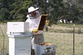 Alaska Bee Products image 1