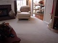 Alexander's Carpet Cleaning, Upholstery Cleaning, Pet Odor And Stain Removal image 2