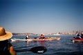 Alki Kayak Tours image 3