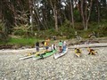 Alki Kayak Tours image 7