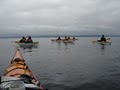 Alki Kayak Tours image 8