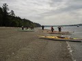 Alki Kayak Tours image 9