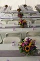 All Event Party Rental & Supplies, LLC image 8