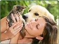 All My Babies ~ Premier Pet Sitting Services logo