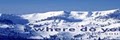 Alpine Meadows Ski Resort: Shuttle Bus Information logo