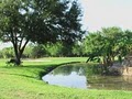 Alvin Golf & Country Club image 1