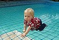 Always Safe Pools - Pool Fence, Pool Fences, Pool Net (Fences-Net-Nets) image 3