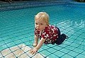 Always Safe Pools - Pool Fence, Pool Fences, Pool Net (Fences-Net-Nets) image 4