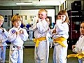 American Family Martial Arts image 4