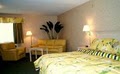 Anchor Inn & Suites Mackinaw City image 8
