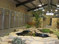 Ani-Pals Pet Resort image 6