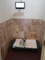 Animal House Pet Hotel and Spa image 10