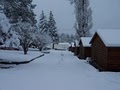 Apache Village Cabins image 4