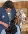 Appalachian New River Veterinary Associates image 3