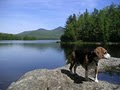 Appalachian Trail Adventures image 2