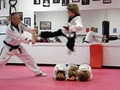 Asian Academy of Tae Kwon Do image 1