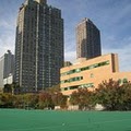 Asphalt Green image 2