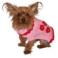 Atlantic City Pet Hotel & Grooming image 2