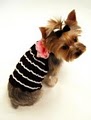 Atlantic City Pet Hotel & Grooming image 1