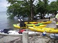 Atlantic Coast Kayak Company image 3