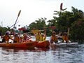 Atlantic Coast Kayak Company image 1