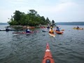 Atlantic Kayak Tours image 5