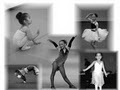 Auburn Dance Academy logo