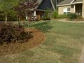 Auburn Lawn Solutions image 9