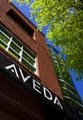 Aveda Institute Chapel Hill - Salon, Spa, School of Cosmetology & Esthiology. image 3