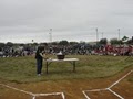 Azalea Little League image 3