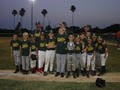 Azalea Little League image 5