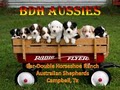 BDH Aussies logo