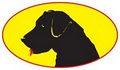 BLACK DAWG SEALCOAT of Mid-Maine logo