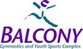 Balcony Gymnastics and Youth Sports Complex image 4