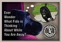 Bark Fitness: Professional Pet Sitters and Dog Walkers logo