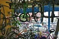 Bay Ridge Bicycle World image 4