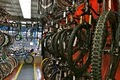 Bay Ridge Bicycle World image 9